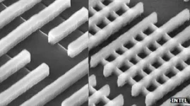 _59795905_tracksundermicroscope2.webp