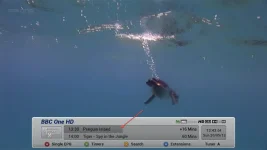 infobar.webp infobar.webp