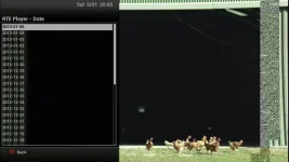rte-player4.webp