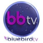 bluebirdtv-lgo.webp