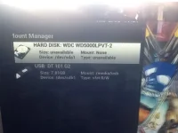 vuduo.webp