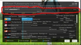 vix-epg.webp