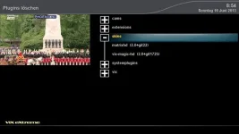 installeddel.webp