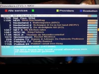 dream_provider_screen.webp