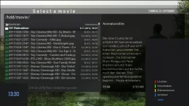 MovieSelection.webp