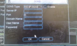 DDNS Screen.webp