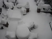 snow.webp