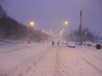 snow2.webp