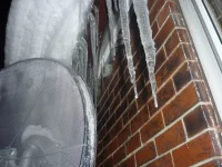 snow4.webp
