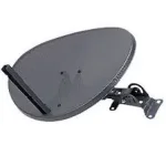dish.webp