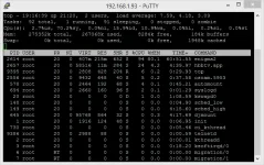 pätkii.webp pätkii.webp