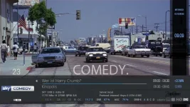 Infobar.webp