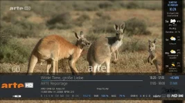 Infobar_Weather.webp