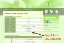 vix mint.webp vix mint.webp