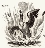 Fenix.webp