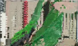 BadPic.webp