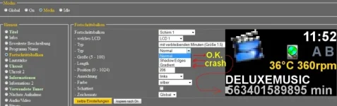 LCD4Linux_Bug 2.webp