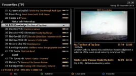 VIX pic wrong EPG language.webp