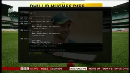image.webp image.webp