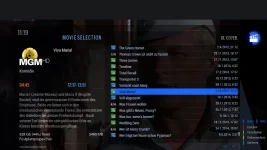 MovieSelection.webp