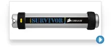 survivortag.webp