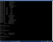 dos wildcard.webp