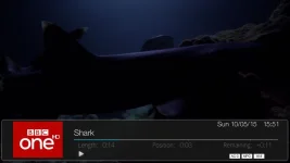 Shark-1052015-150.webp
