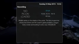 Shark-1052015-1519.webp