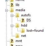 Capture.webp