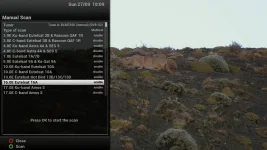 mutiple satellite scan.webp