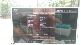 IMAG2012.webp