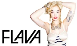 flava.webp