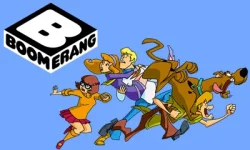 boomerang.webp