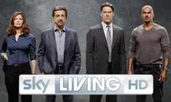 skylivinghd.webp