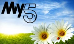 my5.webp