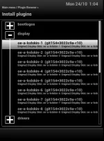display skin install.webp