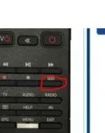 Button.webp