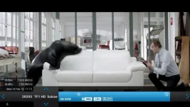 dvbs2xswiss.webp