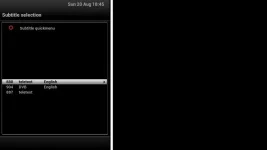 subtitles.webp
