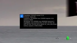 14.webp