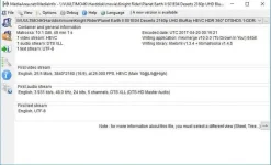 mediainfo.webp