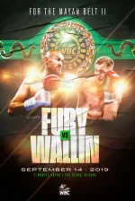 TysonFuryVSOttoWallinLasVegas14thSeptember.webp