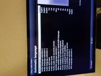 language options.webp