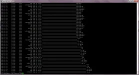 moviebug1.webp moviebug1.webp