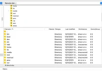 Screenshot 2021-11-12 at 20.33.50.webp