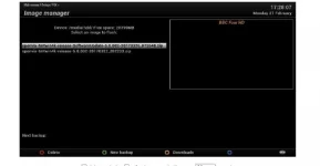 Vix image.webp