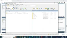 Screenshot (886).webp