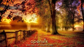 autumn-kquin5jg1dtbyxgc.webp