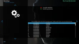 Embeded_subtitles.webp Embeded_subtitles.webp