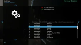 Embeded_subtitles_fi.webp Embeded_subtitles_fi.webp
